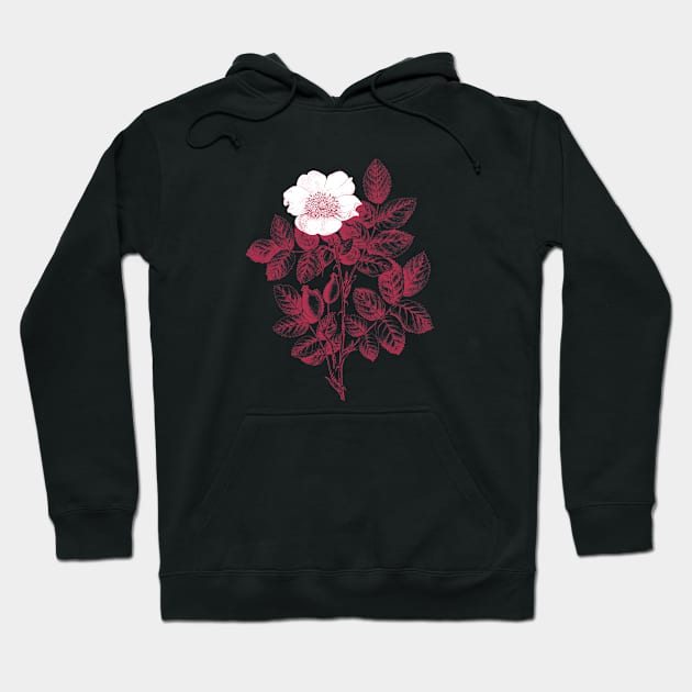 Wild Rose Monochrome Illustration Hoodie by Biophilia